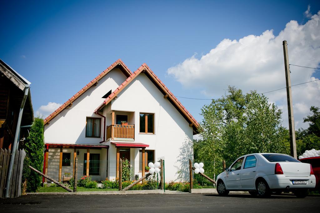 Conacul De Sub Munte Villa Novaci-Străini Eksteriør bilde