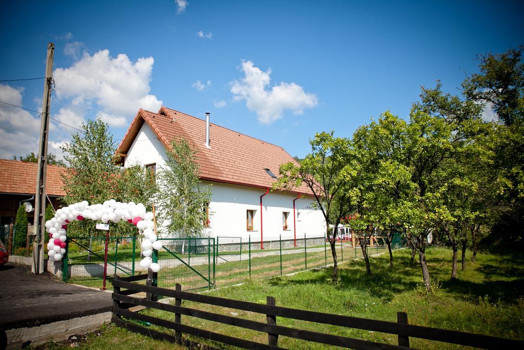 Conacul De Sub Munte Villa Novaci-Străini Eksteriør bilde
