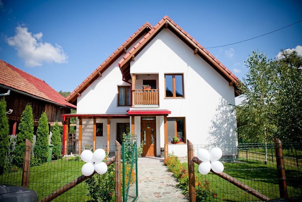 Conacul De Sub Munte Villa Novaci-Străini Eksteriør bilde