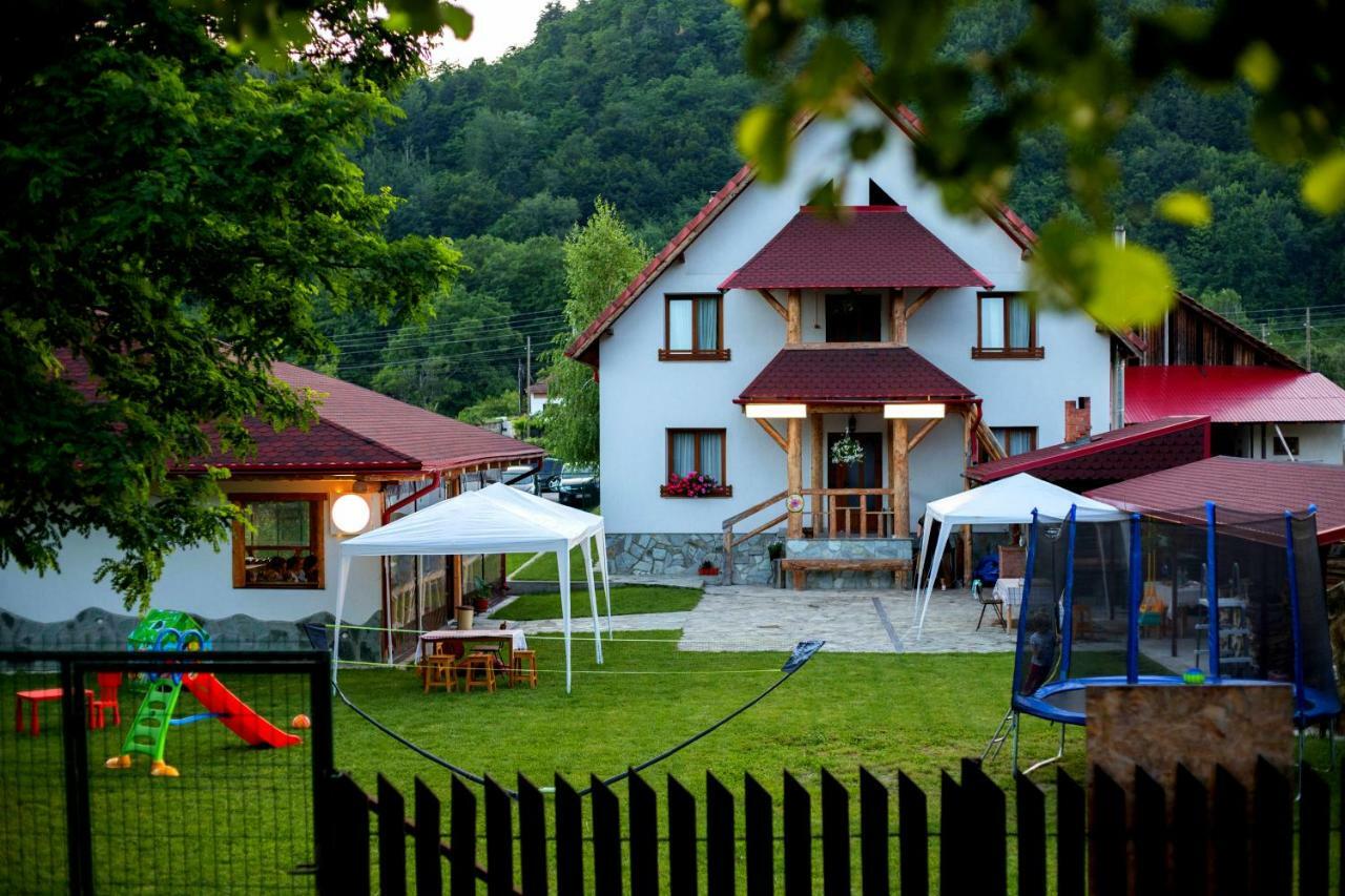 Conacul De Sub Munte Villa Novaci-Străini Eksteriør bilde