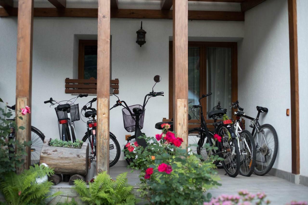 Conacul De Sub Munte Villa Novaci-Străini Eksteriør bilde