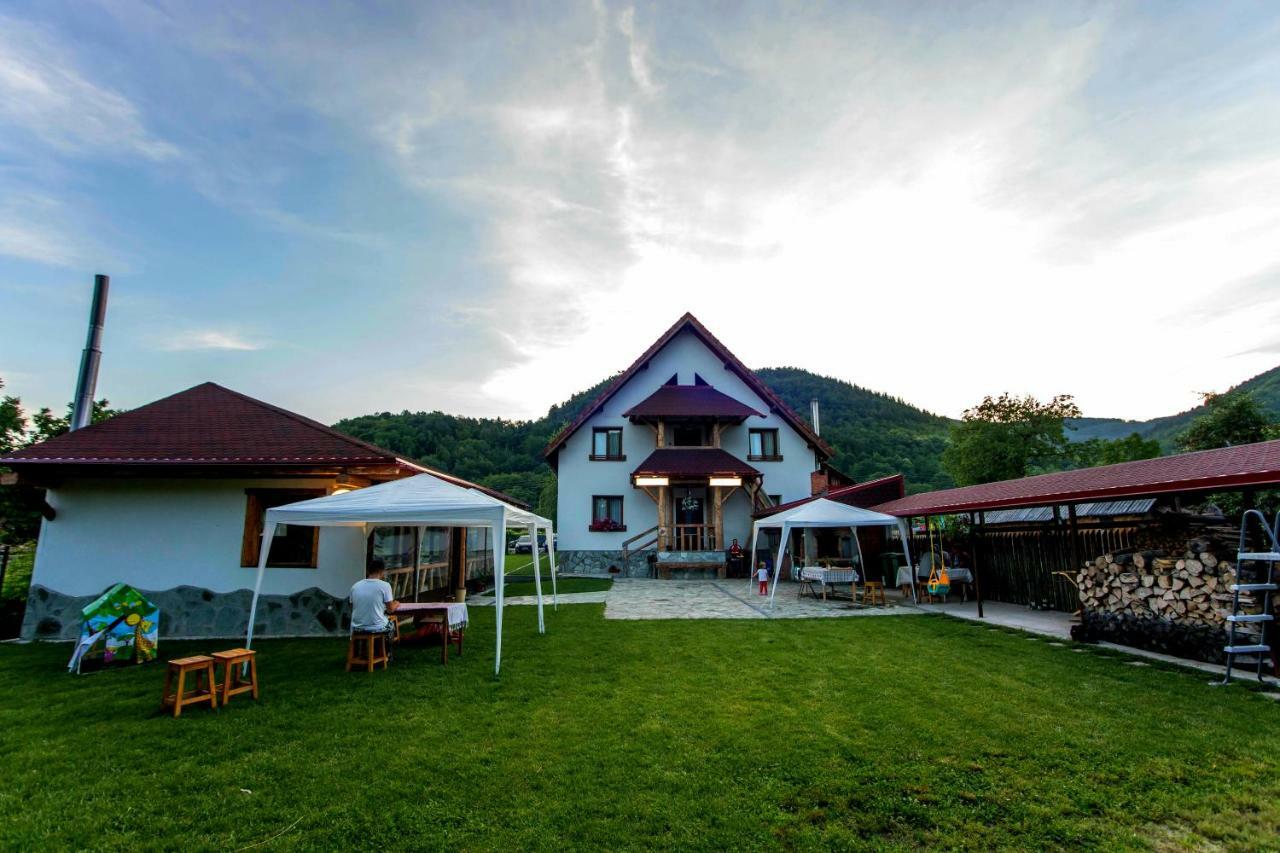 Conacul De Sub Munte Villa Novaci-Străini Eksteriør bilde